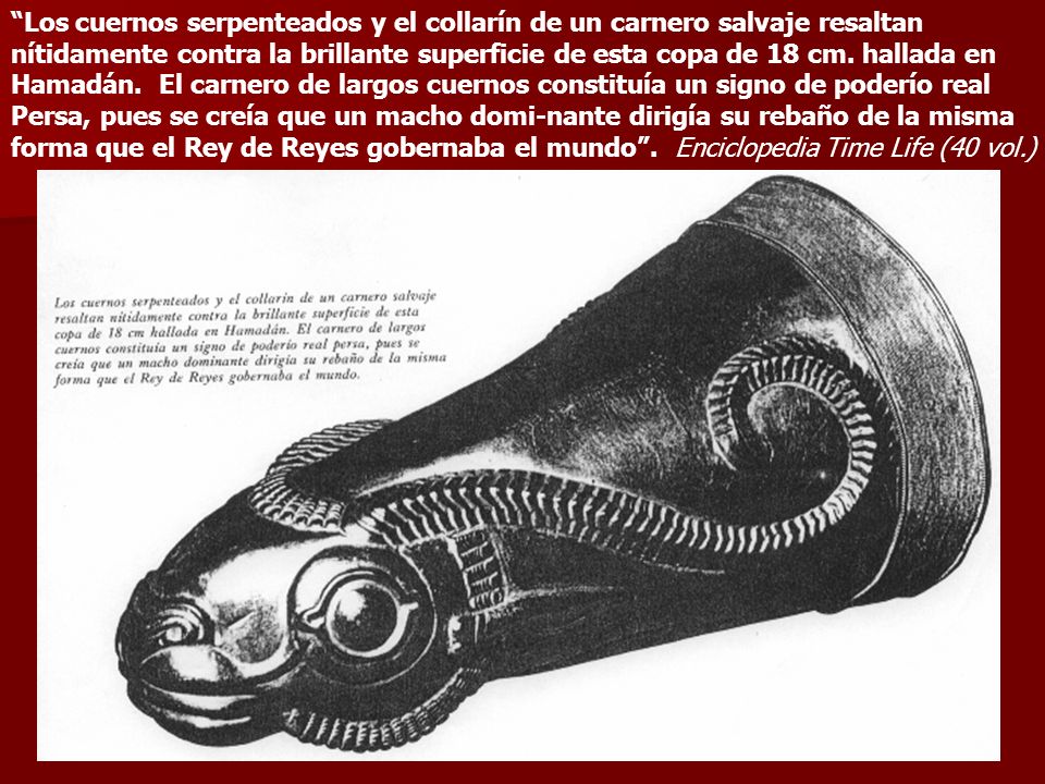 Los cuernos serpenteados y el collarín de un carnero salvaje resaltan nítidamente contra la brillante superficie de esta copa de 18 cm.