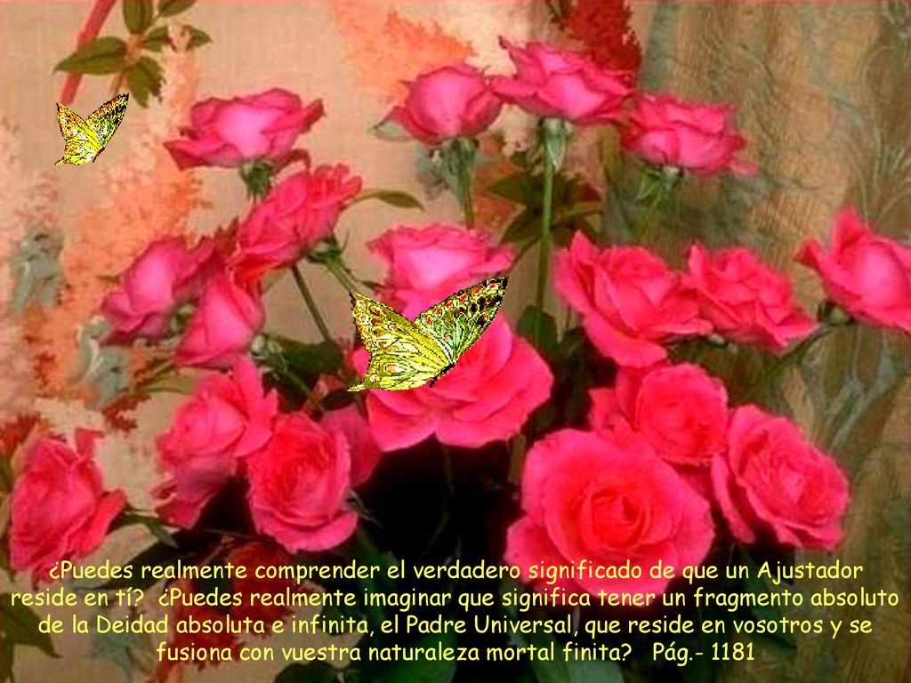 ¿Puedes realmente comprender el verdadero significado de que un Ajustador reside en tí.
