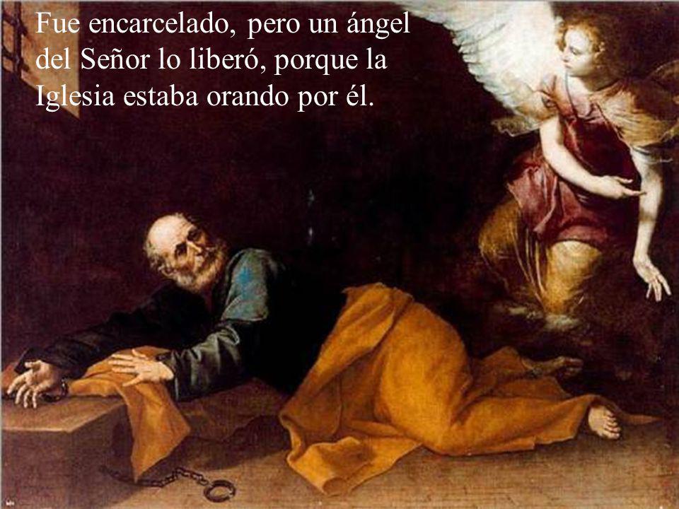 Fue encarcelado, pero un ángel del Señor lo liberó, porque la Iglesia estaba orando por él.