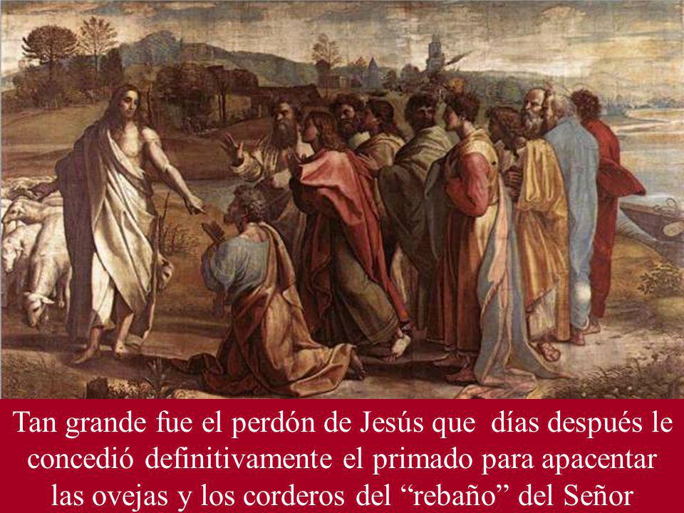 Tan grande fue el perdón de Jesús que días después le concedió definitivamente el primado para apacentar las ovejas y los corderos del rebaño del Señor