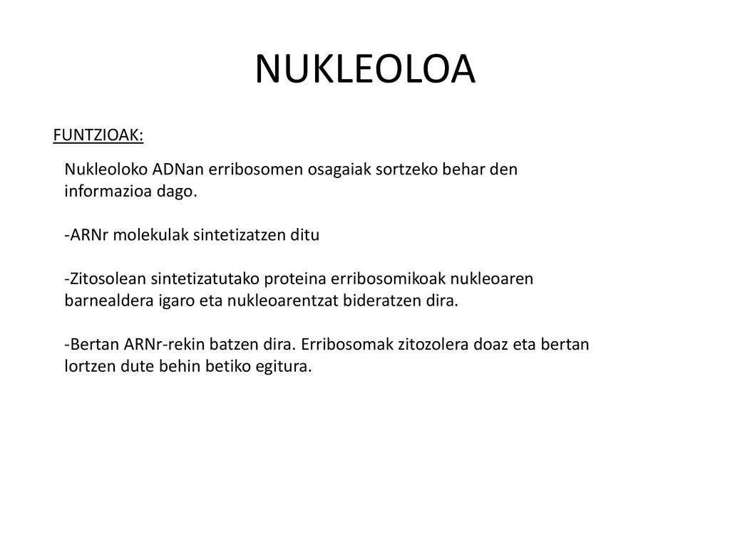 NUKLEOLOA FUNTZIOAK: Nukleoloko ADNan erribosomen osagaiak sortzeko behar den informazioa dago. -ARNr molekulak sintetizatzen ditu.