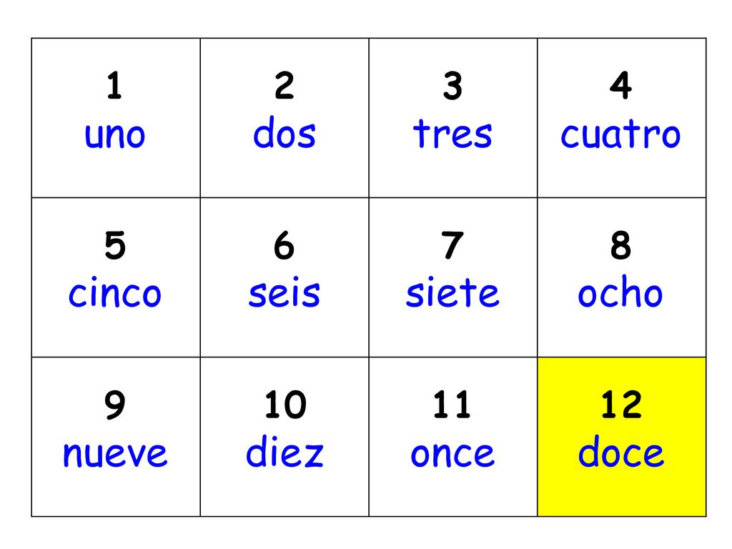 uno dos tres cuatro cinco seis siete ocho nueve diez once doce