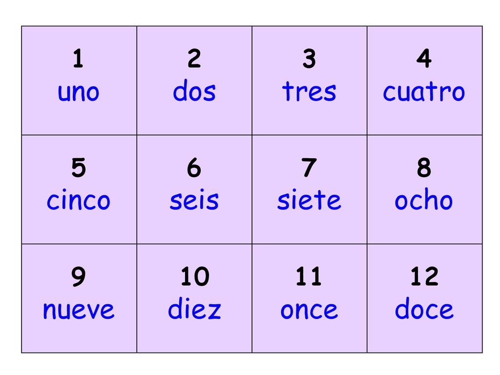 uno dos tres cuatro cinco seis siete ocho nueve diez once doce