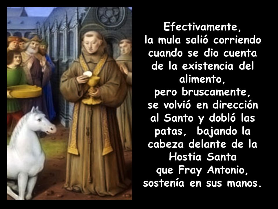 la mula salió corriendo cuando se dio cuenta
