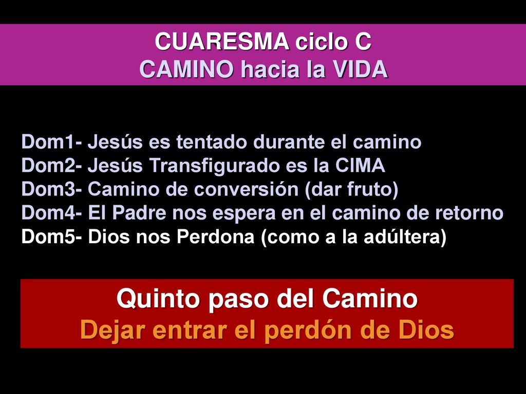 Quinto paso del Camino Dejar entrar el perdón de Dios