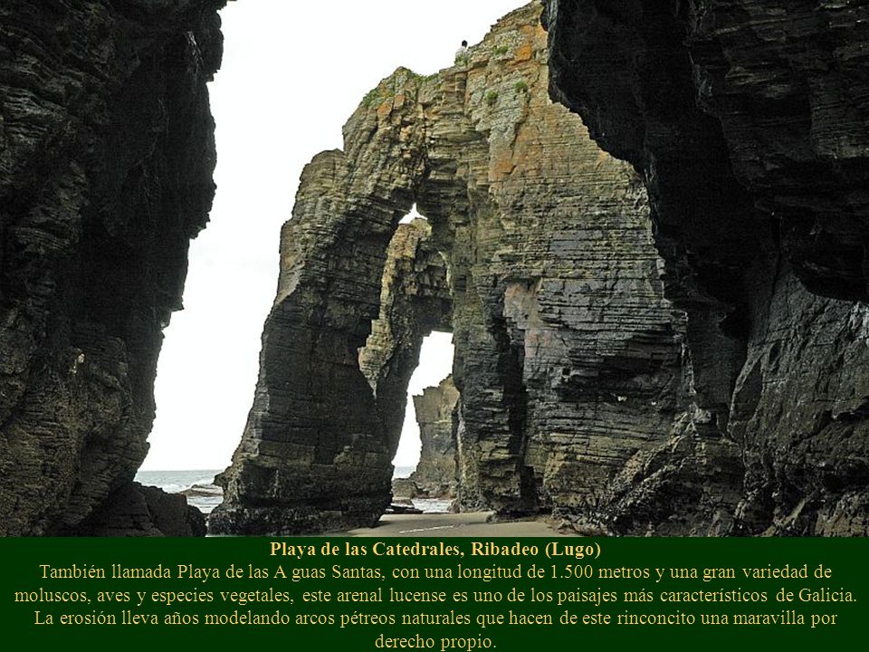 Playa de las Catedrales, Ribadeo (Lugo) También llamada Playa de las A guas Santas, con una longitud de metros y una gran variedad de moluscos, aves y especies vegetales, este arenal lucense es uno de los paisajes más característicos de Galicia.