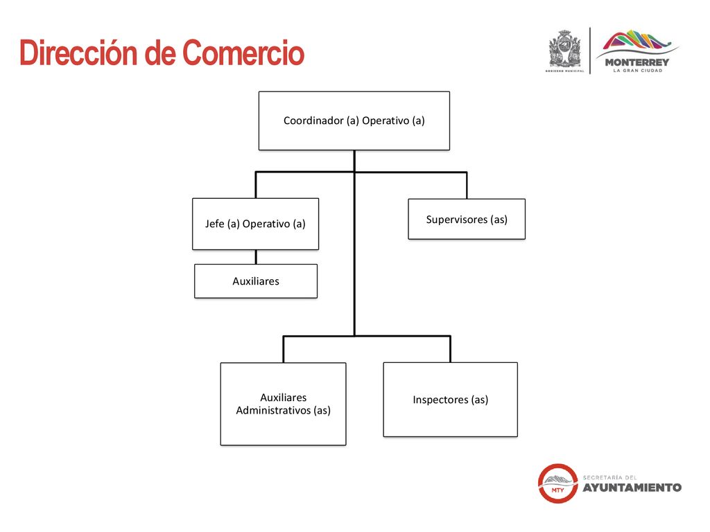 Dirección de Comercio Coordinador (a) Operativo (a) Supervisores (as)