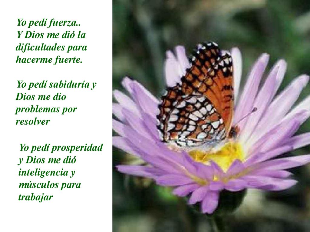 Yo pedí fuerza.. Y Dios me dió la dificultades para hacerme fuerte. Yo pedí sabiduría y Dios me dio problemas por resolver.