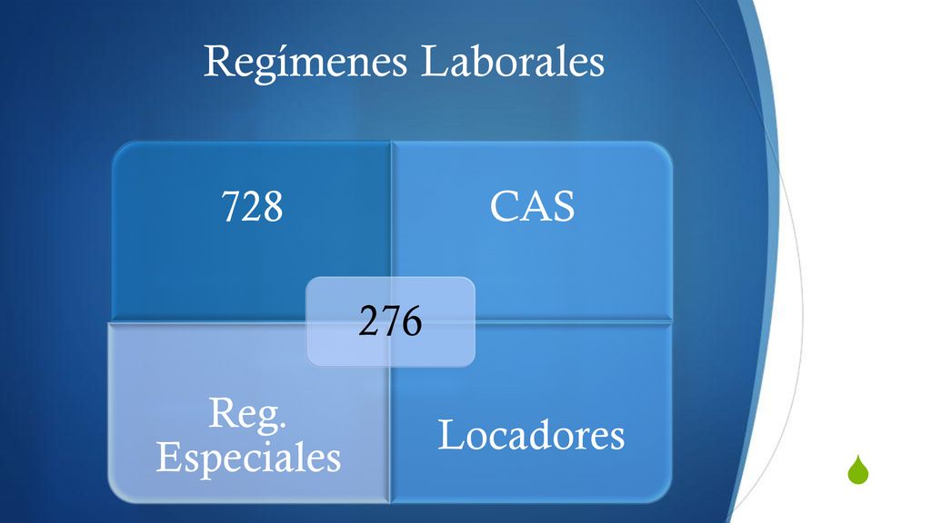 Regímenes Laborales 728 CAS Reg. Especiales Locadores 276