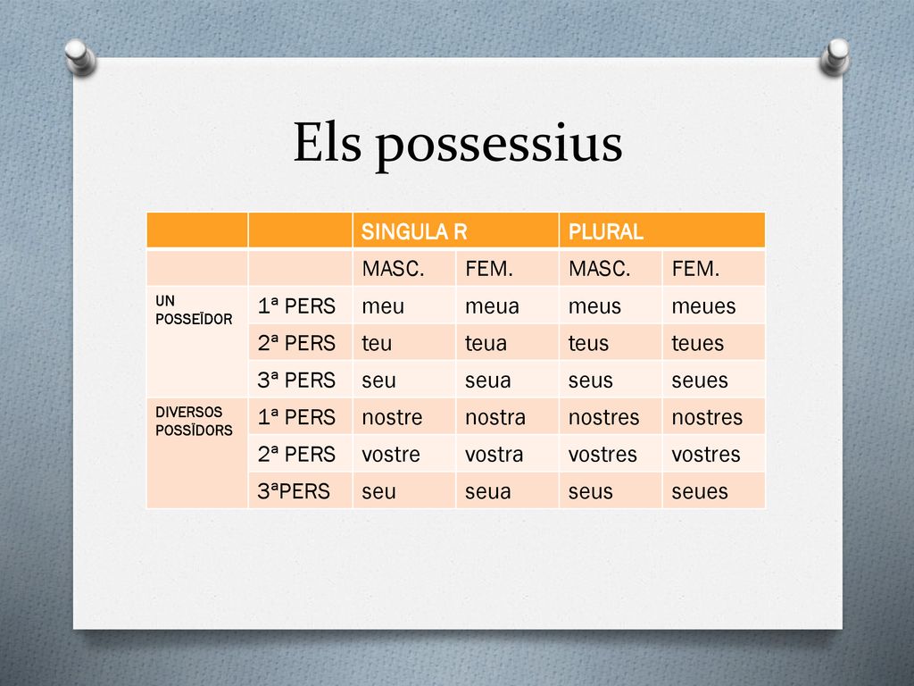 Els possessius SINGULA R PLURAL MASC. FEM. 1ª PERS meu meua meus meues