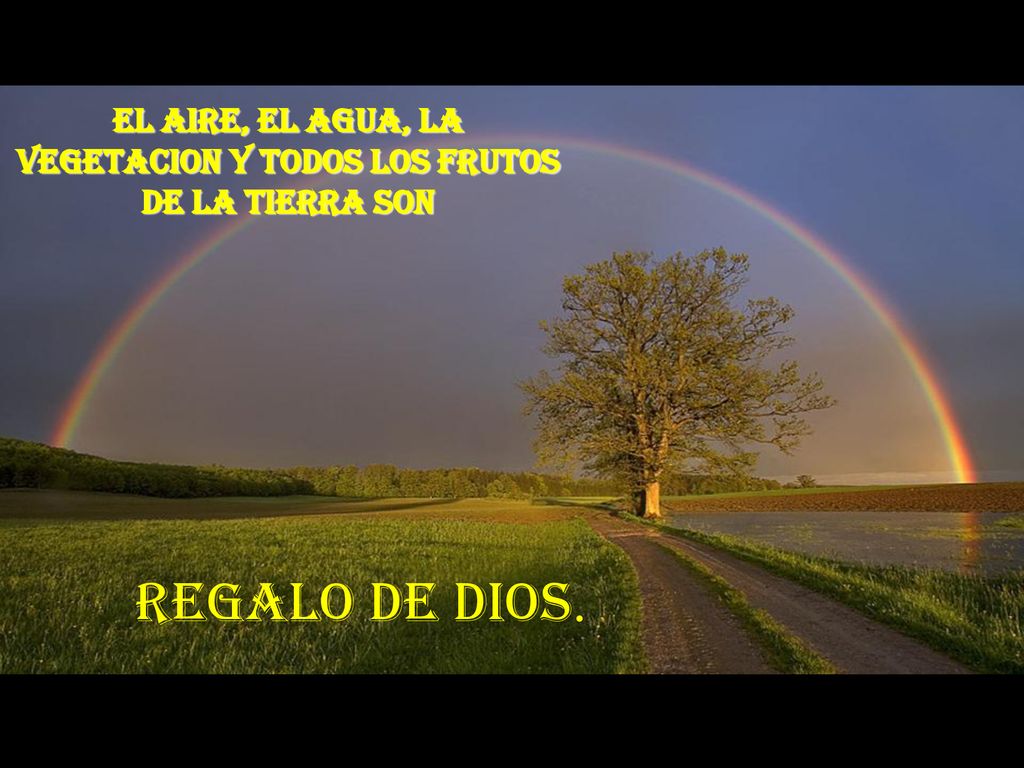 EL AIRE, EL AGUA, LA VEGETACION Y TODOS LOS FRUTOS DE LA TIERRA SON
