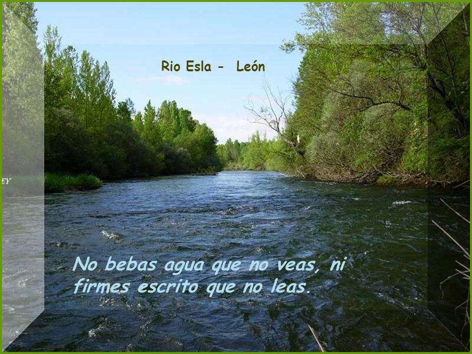 No bebas agua que no veas, ni firmes escrito que no leas.