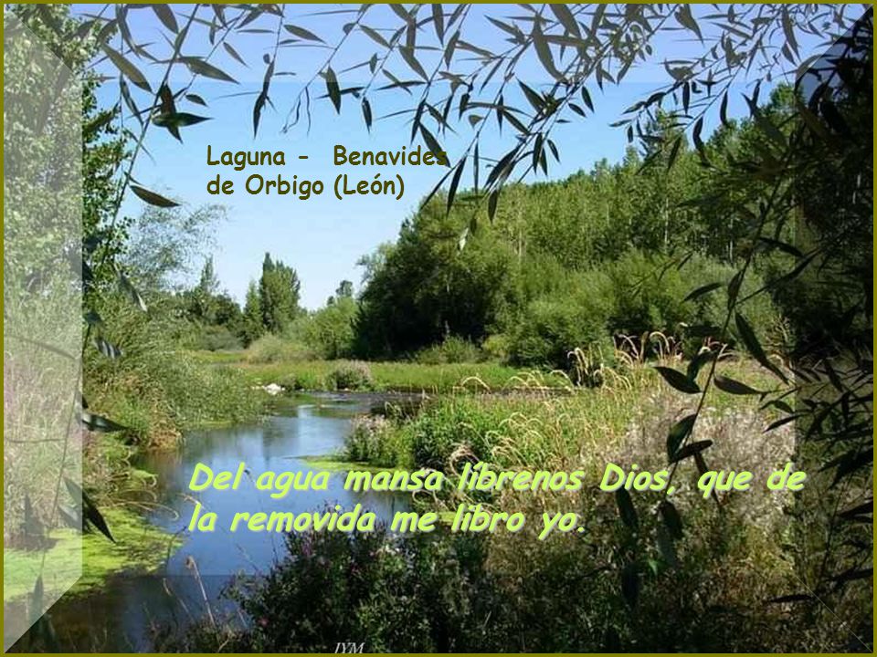 Del agua mansa líbrenos Dios, que de la removida me libro yo.