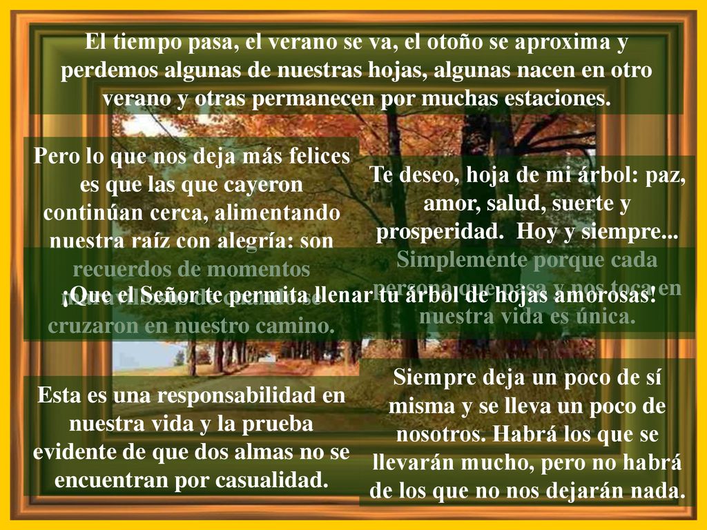 ¡Que el Señor te permita llenar tu árbol de hojas amorosas!