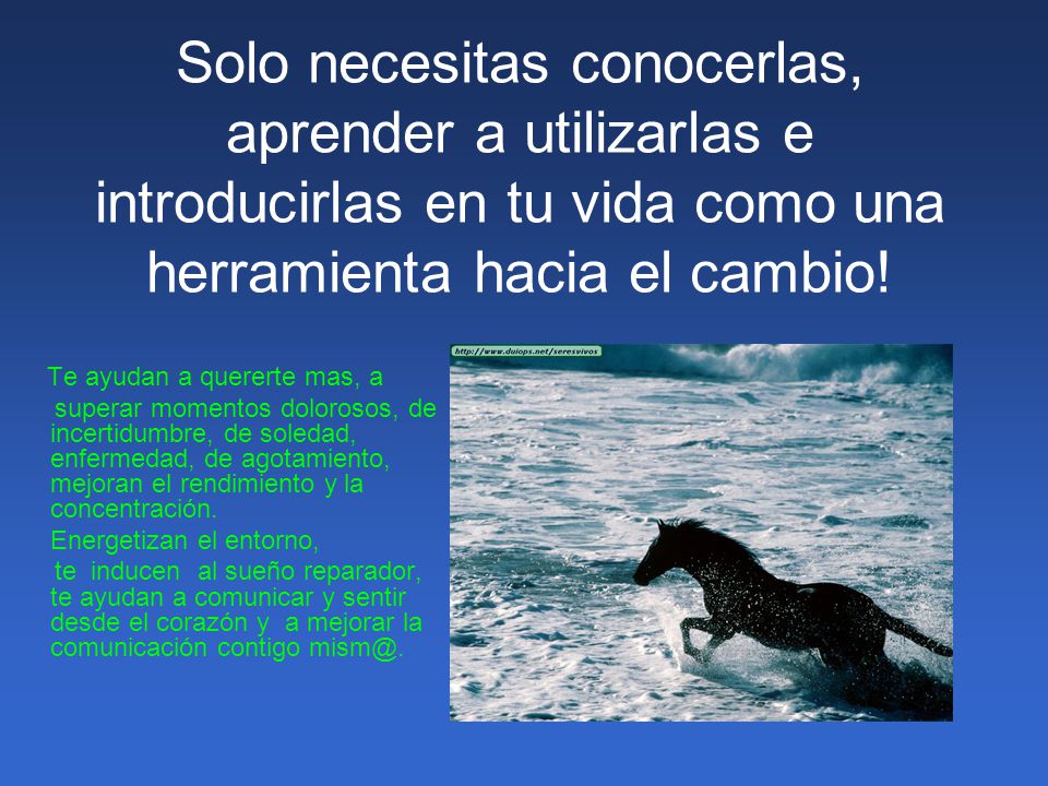 Solo necesitas conocerlas, aprender a utilizarlas e introducirlas en tu vida como una herramienta hacia el cambio!