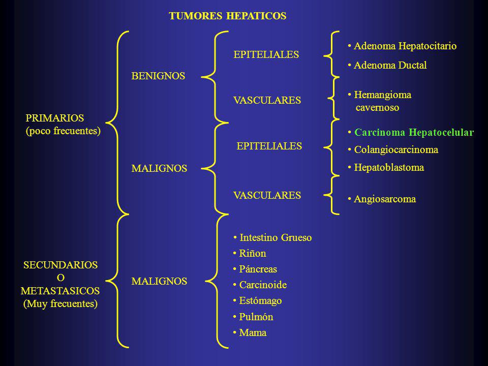 TUMORES HEPATICOS PRIMARIOS. (poco frecuentes) SECUNDARIOS. O. METASTASICOS. (Muy frecuentes) BENIGNOS.