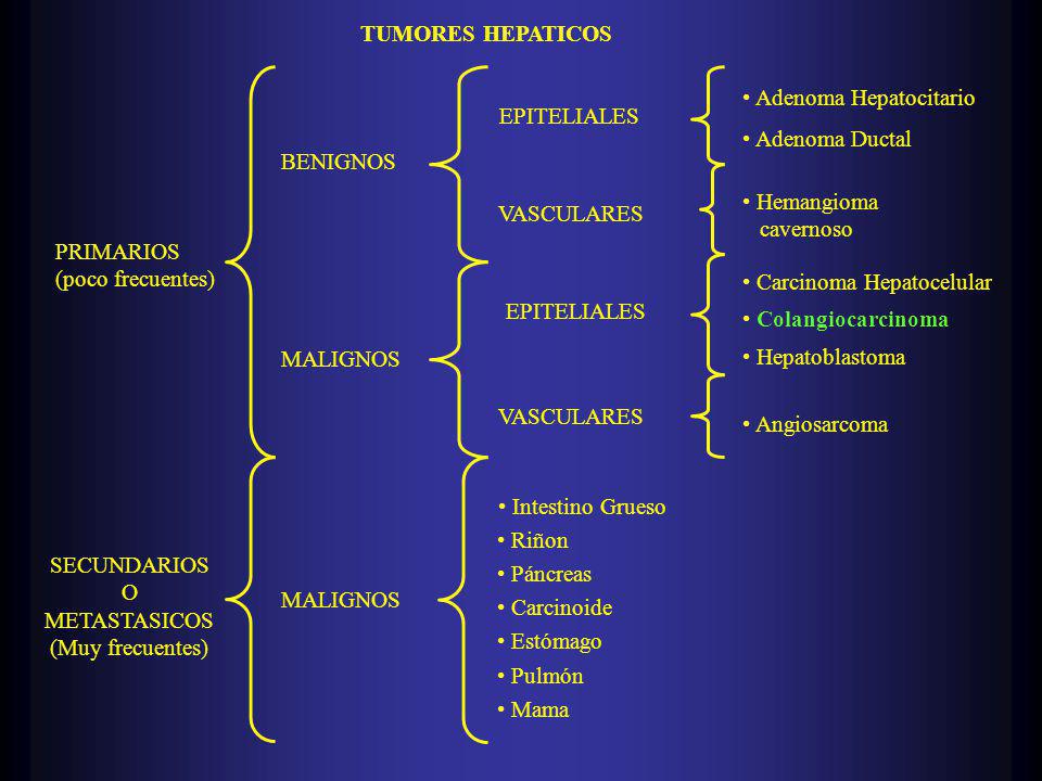 TUMORES HEPATICOS PRIMARIOS. (poco frecuentes) SECUNDARIOS. O. METASTASICOS. (Muy frecuentes) BENIGNOS.
