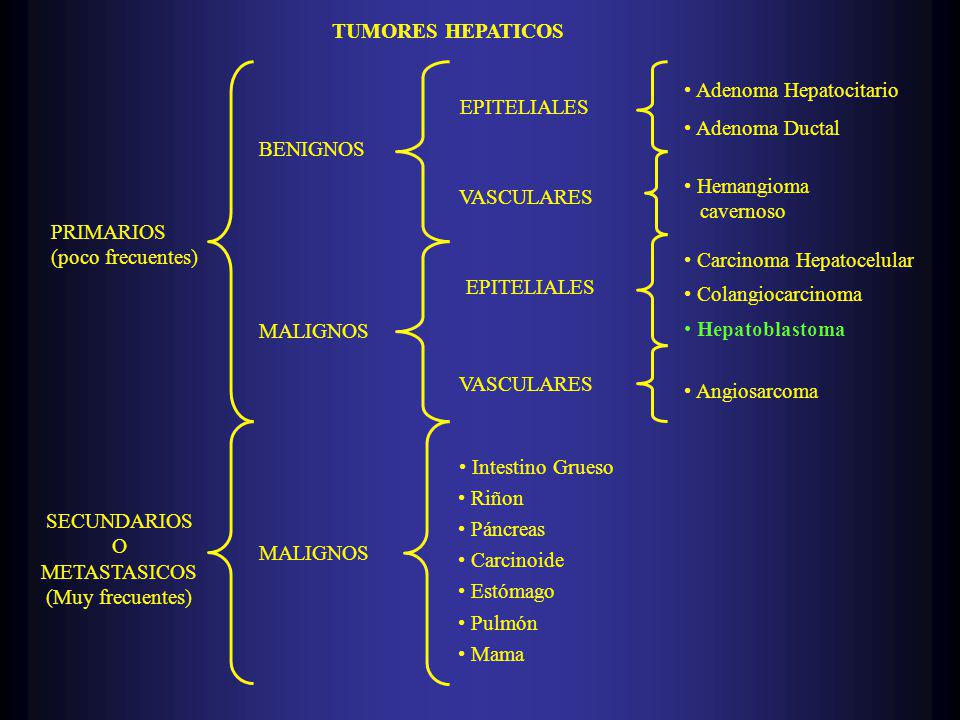 TUMORES HEPATICOS PRIMARIOS. (poco frecuentes) SECUNDARIOS. O. METASTASICOS. (Muy frecuentes) BENIGNOS.