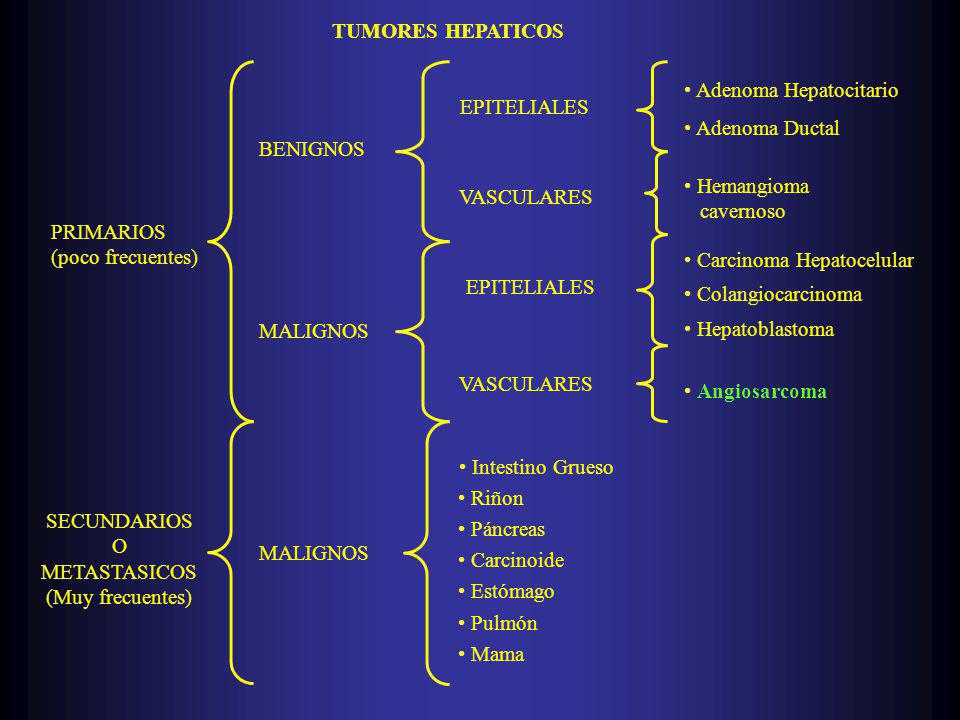 TUMORES HEPATICOS PRIMARIOS. (poco frecuentes) SECUNDARIOS. O. METASTASICOS. (Muy frecuentes) BENIGNOS.