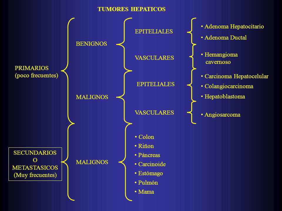 TUMORES HEPATICOS PRIMARIOS. (poco frecuentes) SECUNDARIOS. O. METASTASICOS. (Muy frecuentes) BENIGNOS.