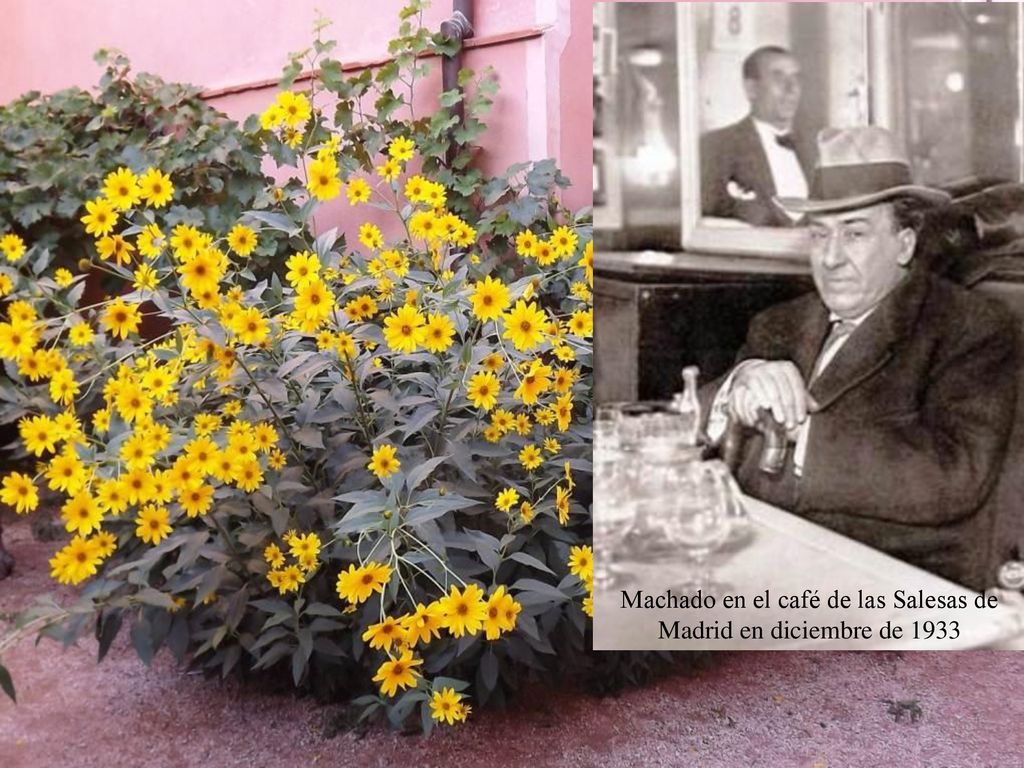 Machado en el café de las Salesas de Madrid en diciembre de 1933
