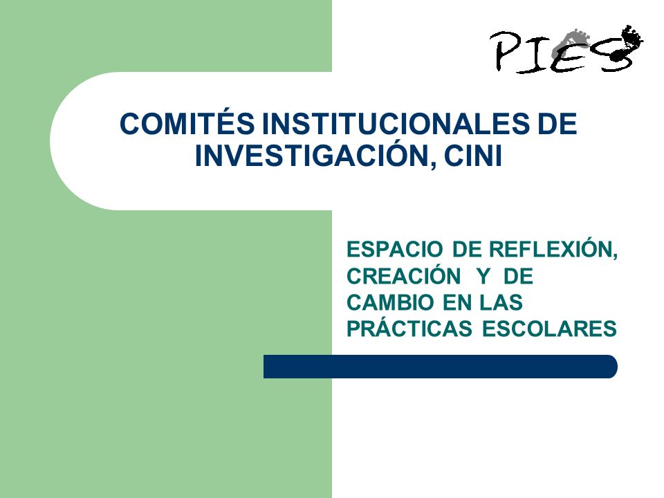 COMITÉS INSTITUCIONALES DE INVESTIGACIÓN, CINI