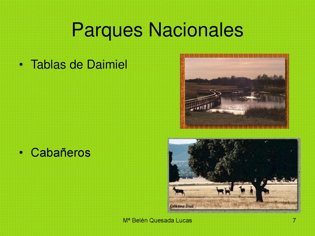 Parques Nacionales Tablas de Daimiel Cabañeros Mª Belén Quesada Lucas