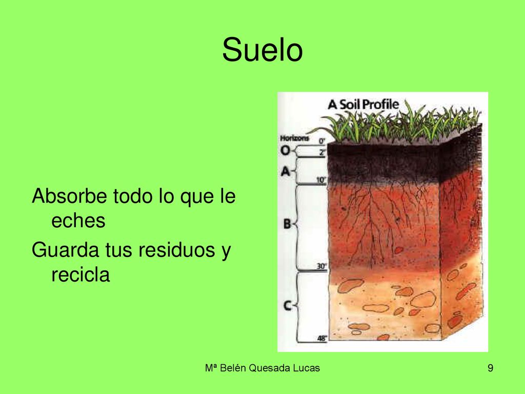 Suelo Absorbe todo lo que le eches Guarda tus residuos y recicla