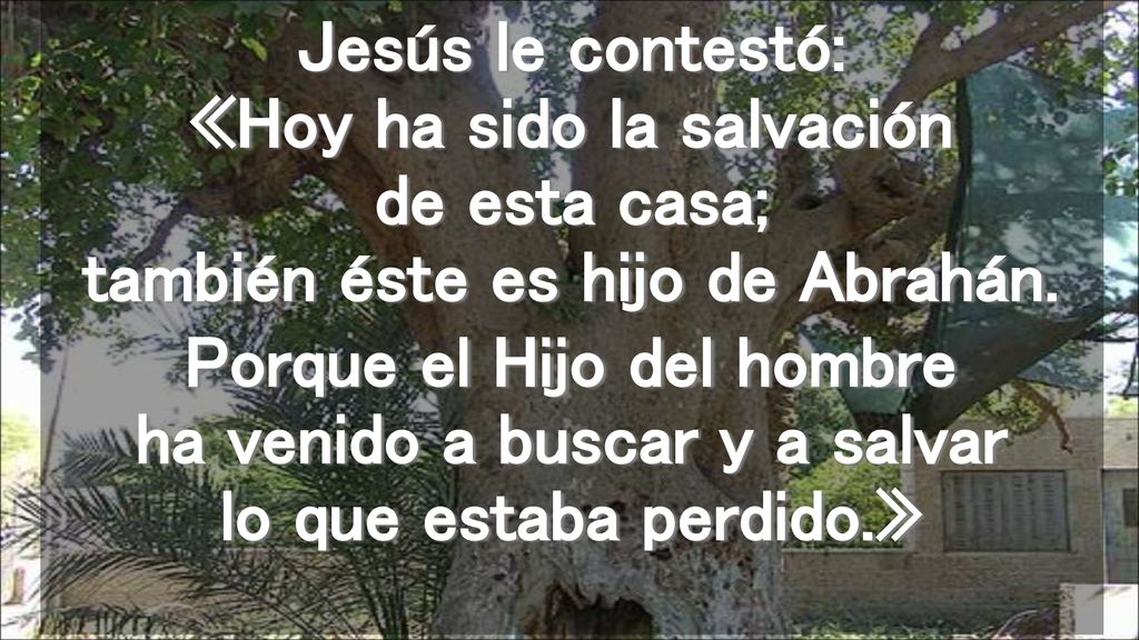 Jesús le contestó: «Hoy ha sido la salvación de esta casa; también éste es hijo de Abrahán.