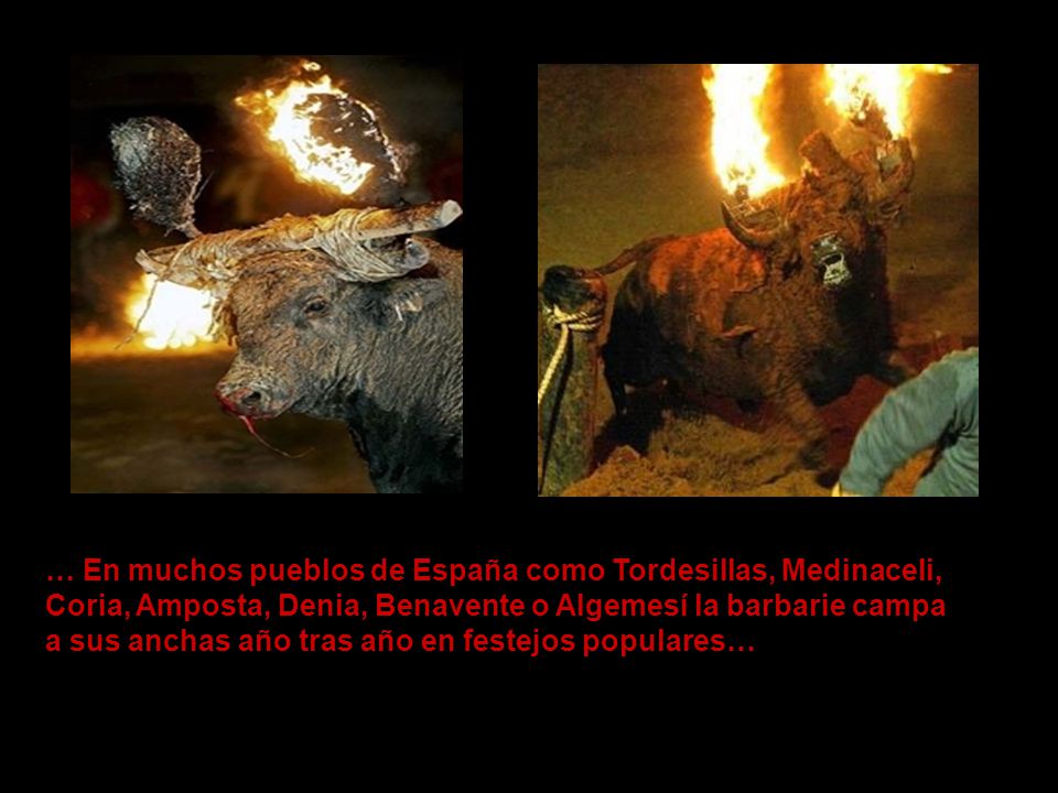 … En muchos pueblos de España como Tordesillas, Medinaceli,