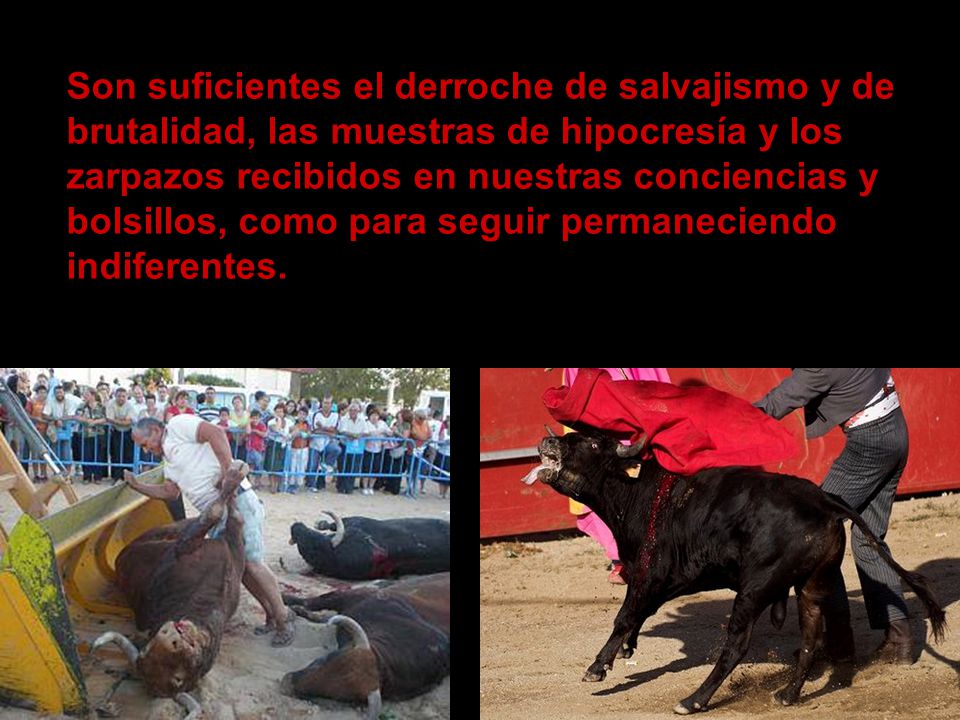 Son suficientes el derroche de salvajismo y de brutalidad, las muestras de hipocresía y los zarpazos recibidos en nuestras conciencias y bolsillos, como para seguir permaneciendo indiferentes.