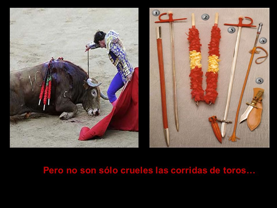 Pero no son sólo crueles las corridas de toros…
