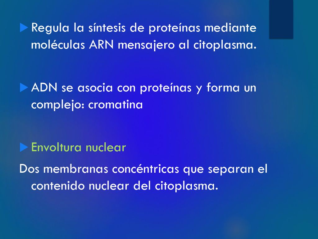 Regula la síntesis de proteínas mediante moléculas ARN mensajero al citoplasma.