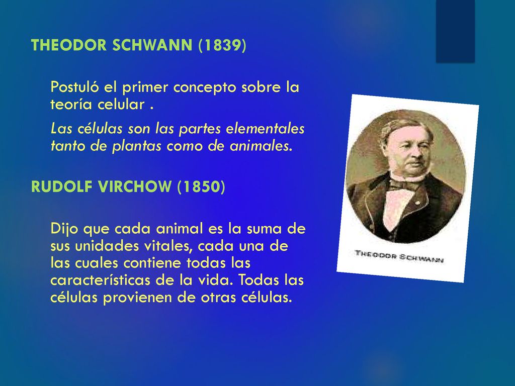 THEODOR SCHWANN (1839) Postuló el primer concepto sobre la teoría celular .