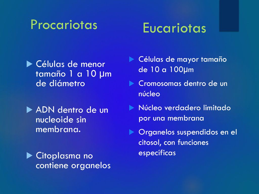 Eucariotas Procariotas Células de menor tamaño 1 a 10 µm de diámetro
