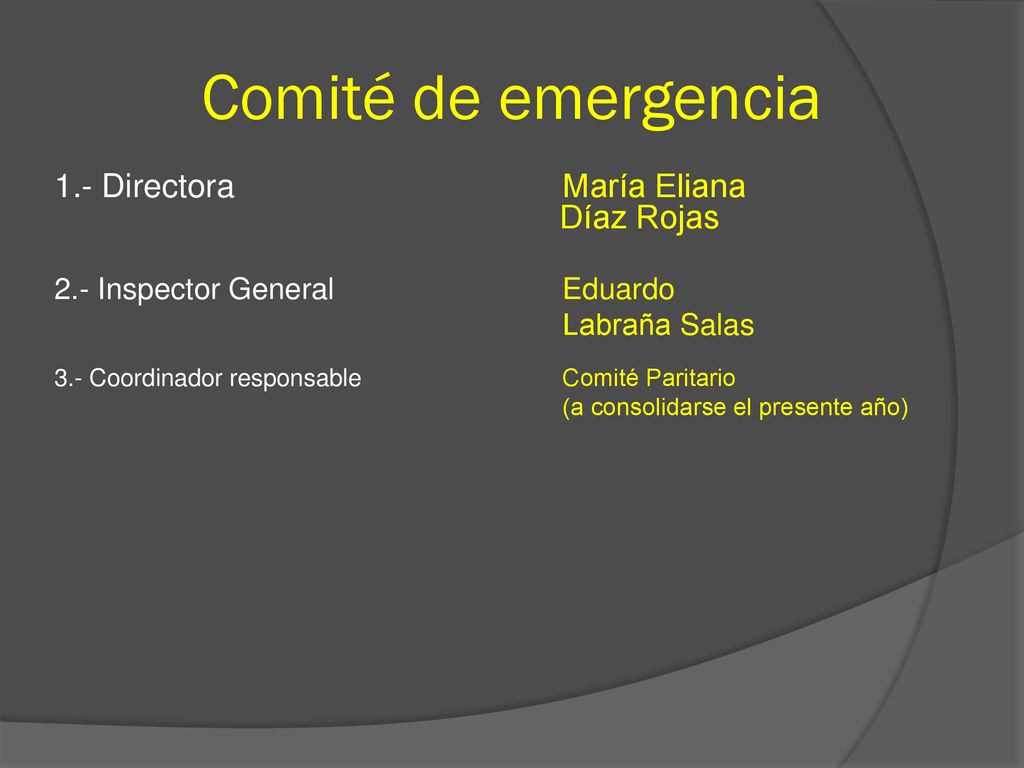 Comité de emergencia 1.- Directora María Eliana Díaz Rojas