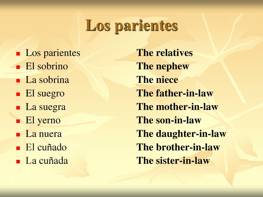 Los parientes Los parientes El sobrino La sobrina El suegro La suegra