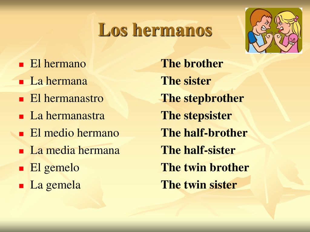 Los hermanos El hermano La hermana El hermanastro La hermanastra