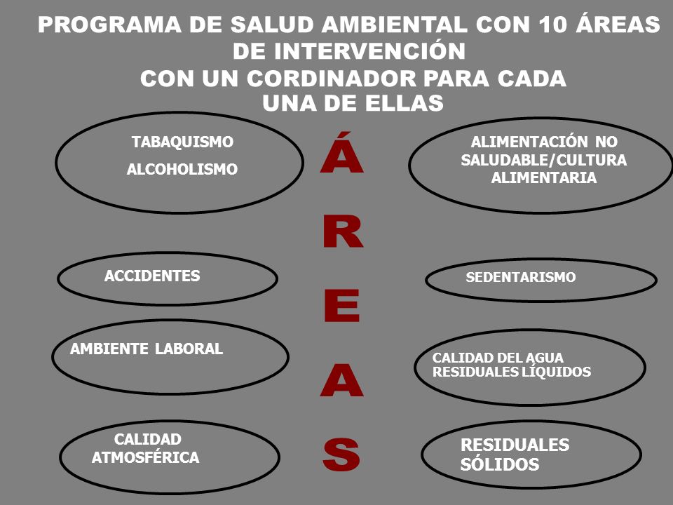 ÁREAS PROGRAMA DE SALUD AMBIENTAL CON 10 ÁREAS DE INTERVENCIÓN