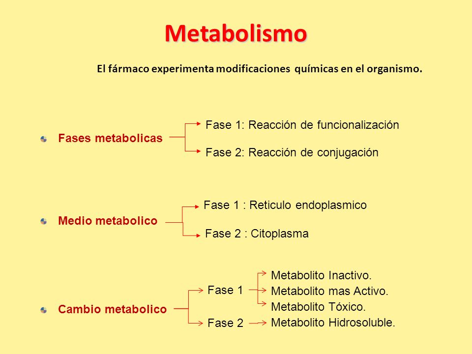 Metabolismo El fármaco experimenta modificaciones químicas en el organismo. Fase 1: Reacción de funcionalización.