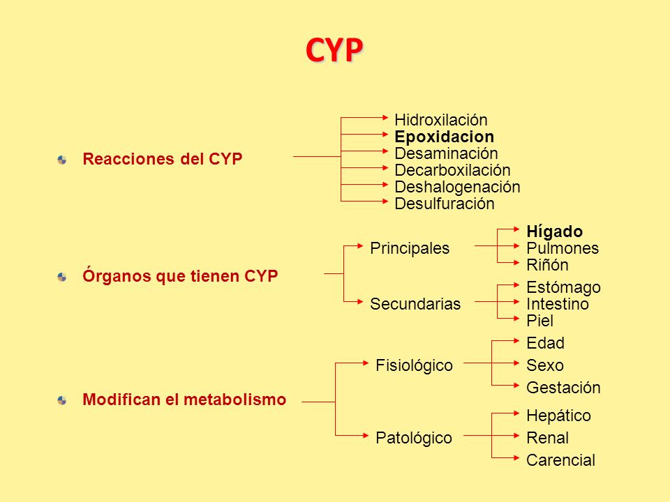 CYP Hidroxilación Epoxidacion Desaminación Reacciones del CYP