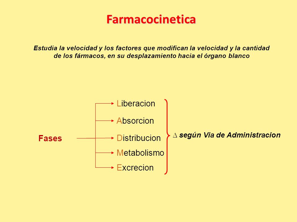 Farmacocinetica Liberacion Absorcion Fases Distribucion Metabolismo