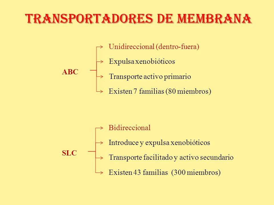 TRANSPORTADORES DE MEMBRANA