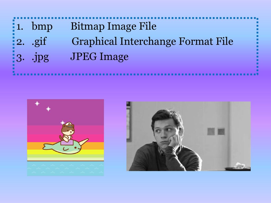 bmp Bitmap Image File .gif Graphical Interchange Format File .jpg JPEG Image