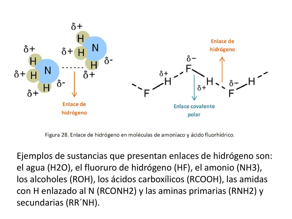 Ejemplos de sustancias que presentan enlaces de hidrógeno son: el agua (H2O), el fluoruro de hidrógeno (HF), el amonio (NH3), los alcoholes (ROH), los ácidos carboxílicos (RCOOH), las amidas con H enlazado al N (RCONH2) y las aminas primarias (RNH2) y secundarias (RR´NH).