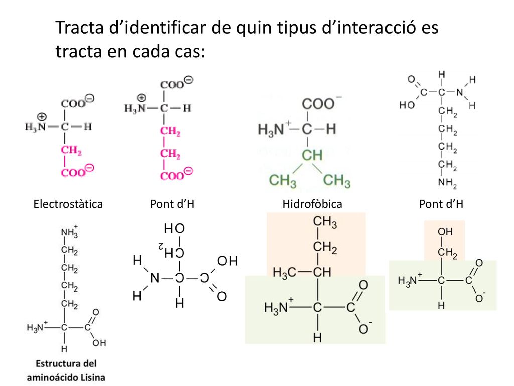 Tracta d’identificar de quin tipus d’interacció es tracta en cada cas: