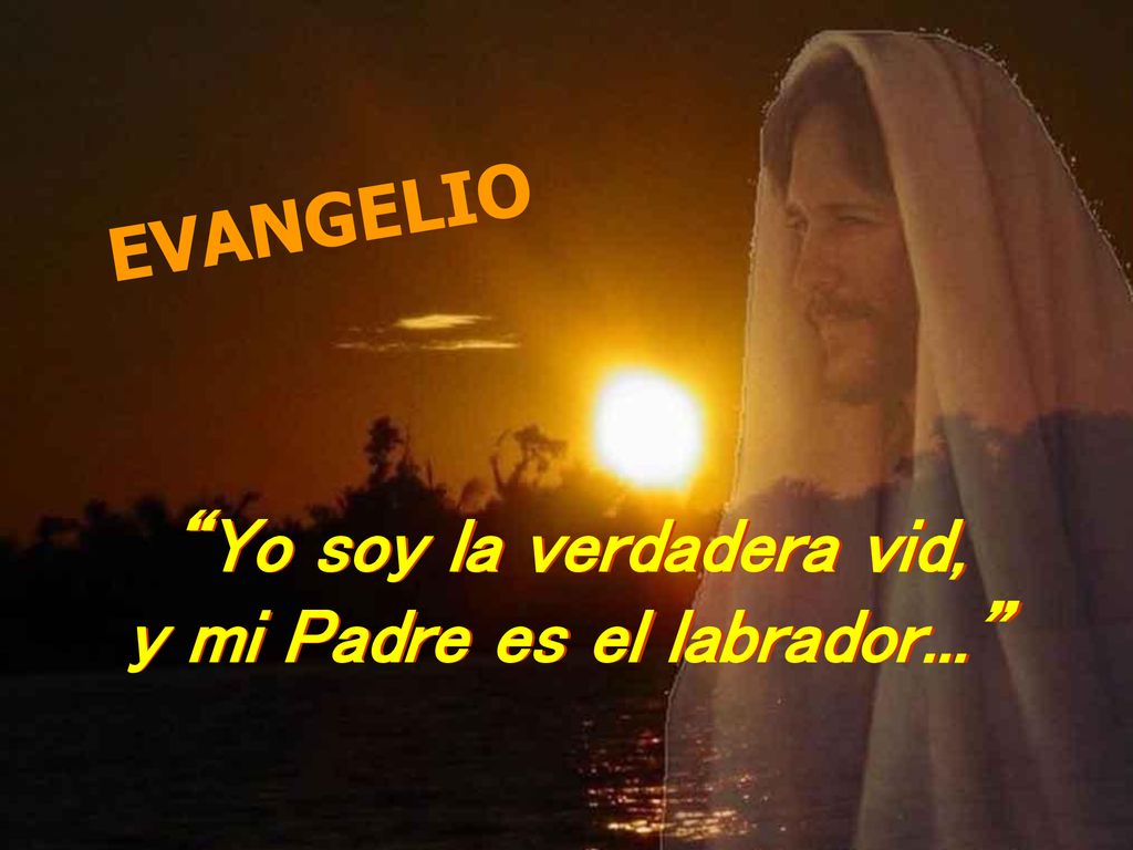 Yo soy la verdadera vid, y mi Padre es el labrador...