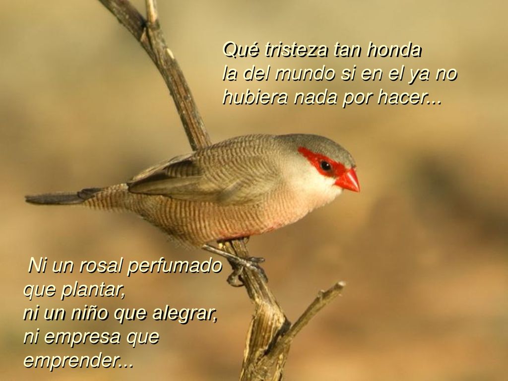 la del mundo si en el ya no hubiera nada por hacer...