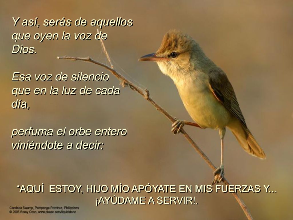 AQUÍ ESTOY, HIJO MÍO APÓYATE EN MIS FUERZAS Y... ¡AYÚDAME A SERVIR!.