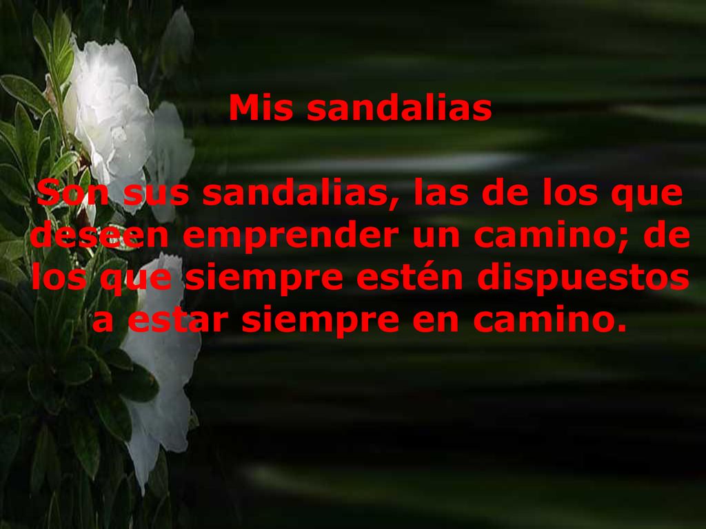 Mis sandalias Son sus sandalias, las de los que deseen emprender un camino; de los que siempre estén dispuestos a estar siempre en camino.